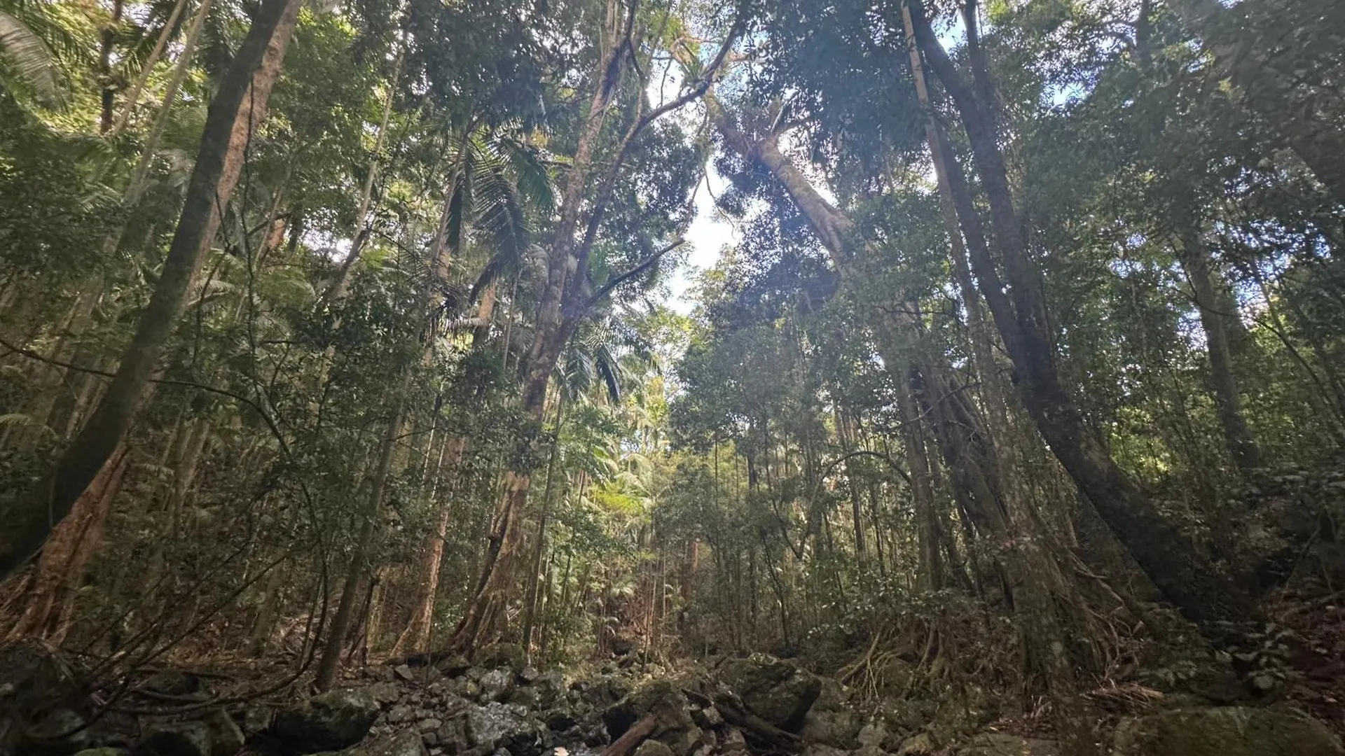 马莱尼Heaven In The Hills Retreat别墅 澳大利亚